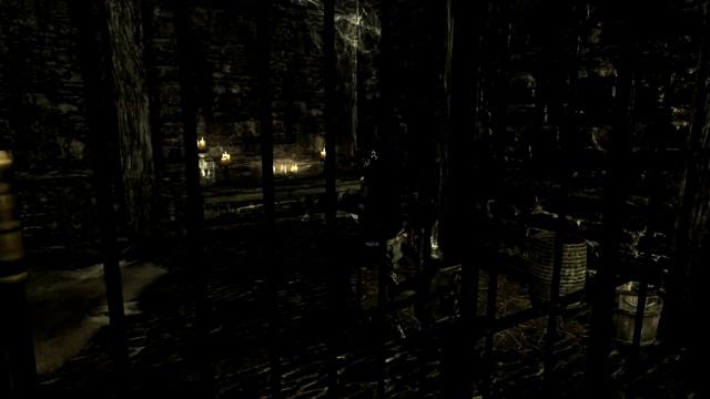 Skyrim: Best Follower Mod - 2014 смотреть онлайн