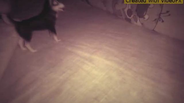 Шляйх. Сотри его из мемори. 2 смотреть онлайн