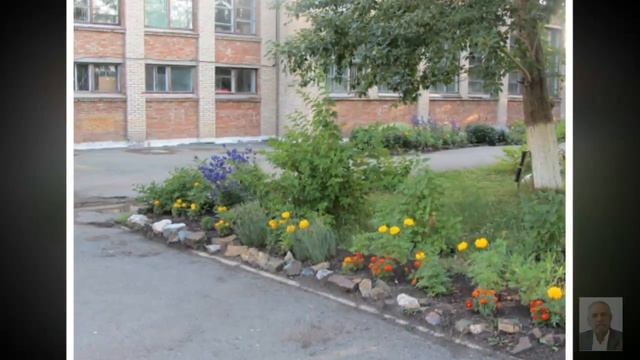 Утро Солнце Цветы смотреть онлайн