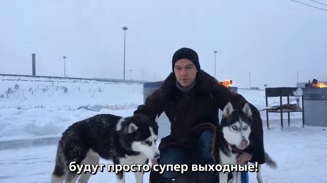 HASKI VW смотреть онлайн