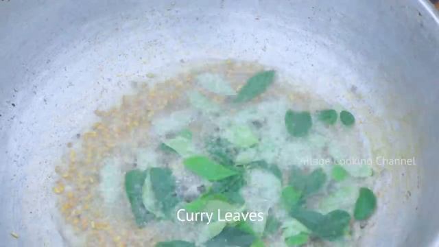 Pathakattai Fish Catching _ Cooking _ Fishing In Village Using Traditional Fish Catching Technology