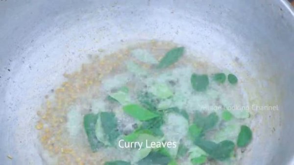 Pathakattai Fish Catching _ Cooking _ Fishing in Village using traditional fish catching technology