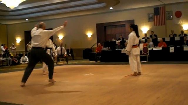 Alex Yoko Final Kumite смотреть онлайн