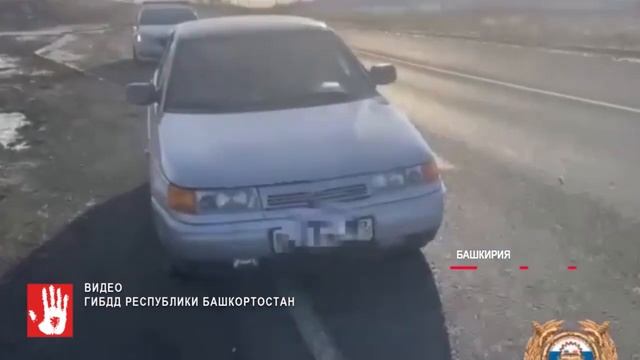 Уехал в другую область с поддельным водительским удостоверением смотреть онлайн