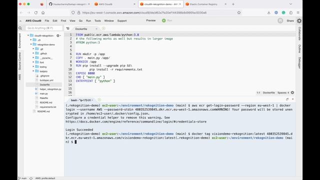 AWS Rekognition Demo (via FastAPI & AWS App Runner) смотреть онлайн
