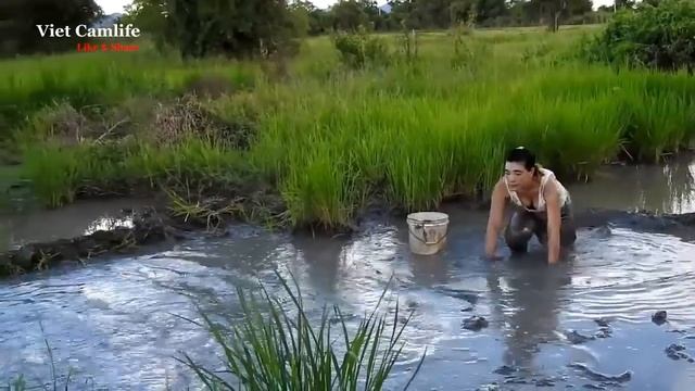 Beautiful Girl Fishing | Amazing Fish at Vietnam | How to Catch fish смотреть онлайн