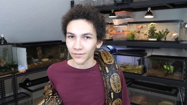 What's it Like Keeping Big Snakes? смотреть онлайн