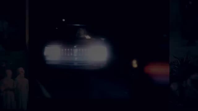 Top 5 CREEPY Stories of People MISSING in the Woods смотреть онлайн