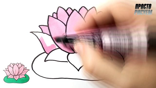Как нарисовать ЦВЕТОК ЛОТОС легко смотреть онлайн