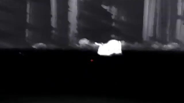 @InfiRayOutdoor смотреть онлайн