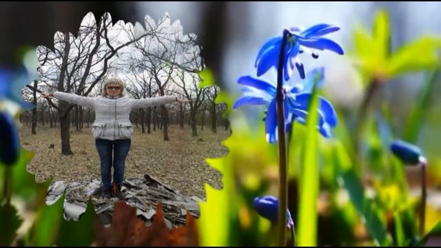 Из весеннего леса ПРИВЕТ! смотреть онлайн