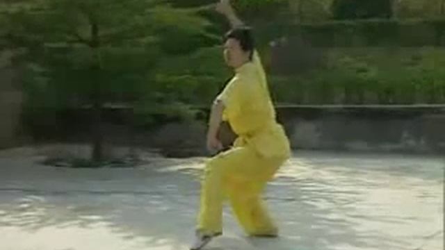 Чан цуань базовая форма таолу 1 смотреть онлайн