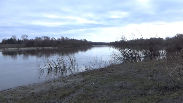 Река Сура смотреть онлайн