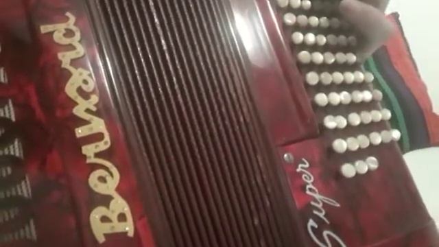 acordeon fisarmonica Scandalli accordion смотреть онлайн