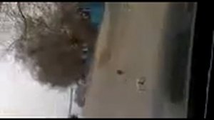 Охота на ворон с пневматикой мр 512