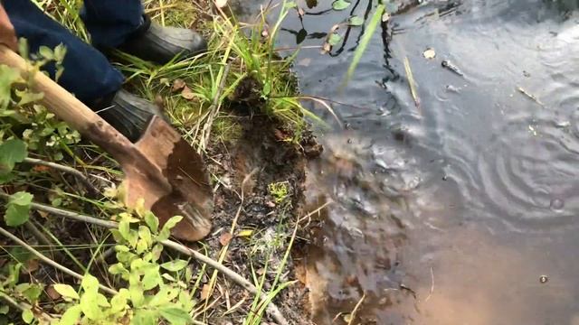 ? Как копать глину? Где найти? Александр Заборских Волшебство керамики смотреть онлайн