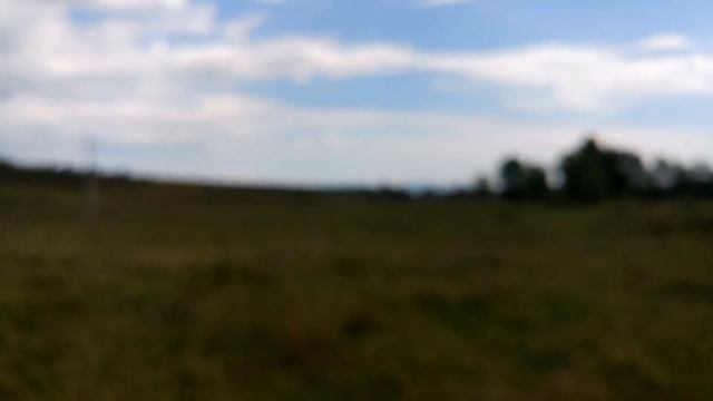 Поиск монет на месте где жили Казаки смотреть онлайн