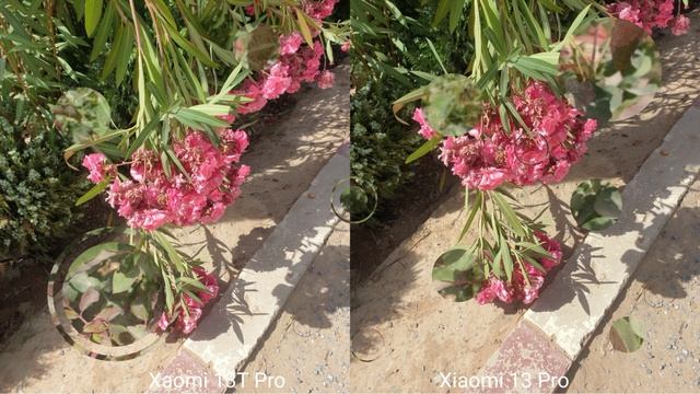 Xiaomi 13T Pro Vs Xiaomi 13 Pro Camera Test Comparison смотреть онлайн