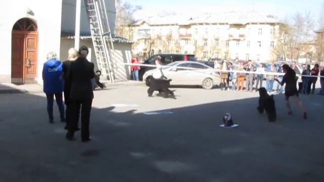 ВАЛЕНСИЯ ИЗ КНЯЖЕСТВА ВОЛЬГИ, ЛПП