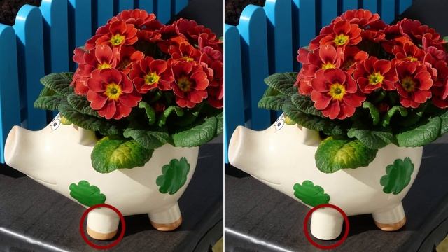 [ Brain games ] happy new year start with lucky | Spot the difference | photo puzzles | Healing смотреть онлайн