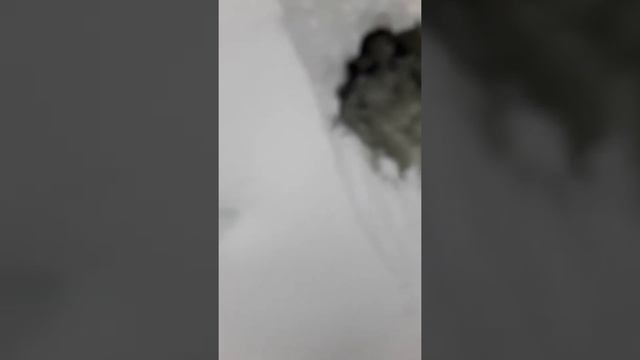 пруд на крещение лед растаял смотреть онлайн