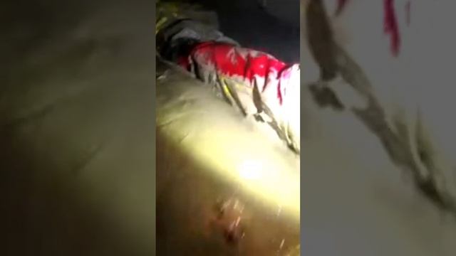 WARNING - Caving is highly addictive ? смотреть онлайн