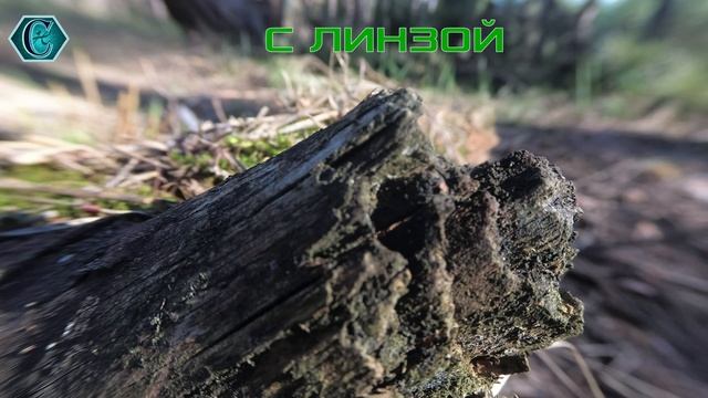 Макросъемка на экшен камеру? смотреть онлайн