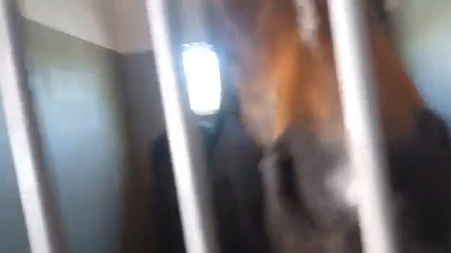 Конный клуб Grand Prix смотреть онлайн
