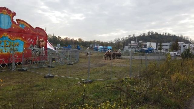 жизнь в германии плюсы и минусы. дают деньги и бесплатные продукты три раза в неделю. рай в германи смотреть онлайн