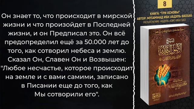ТРИ ОСНОВЫ - разъяснение шейха Ибн База №8 смотреть онлайн