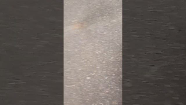 когда Мила ничем занимается Во что она делает смотреть онлайн