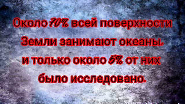 Факты о животных смотреть онлайн