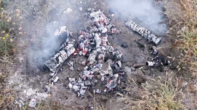 Форель в углях. Самый простой рецепт красной рыбы на углях. Как правильно запекать красную рыбу! смотреть онлайн