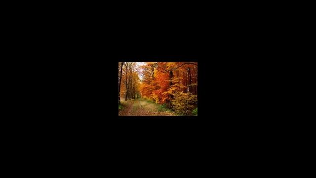Осень постучалась к нам!!! смотреть онлайн