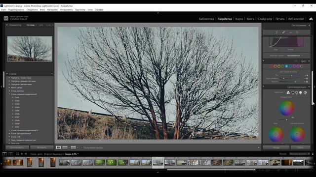 Как легко отрегулировать силу пресета в Adobe Lightroom смотреть онлайн