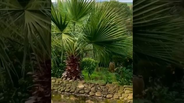 bizerte tunis смотреть онлайн