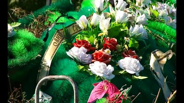 Самые забавные анекдоты