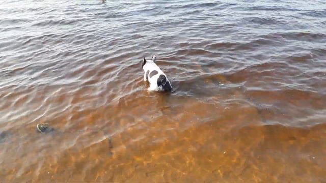 Миссия не выполнима. смотреть онлайн