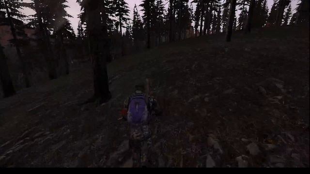 Dayz standalone. Поход на прибрежную зону смотреть онлайн