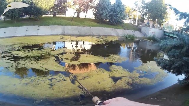 Kasna Avı (Chub Fishing) - 60 смотреть онлайн
