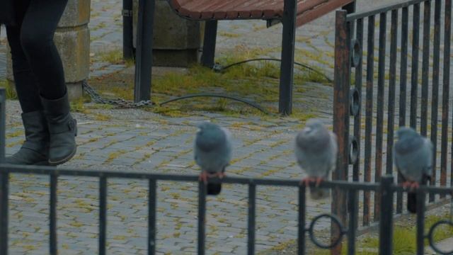 Sony A 6700 S&Q test 120 fps смотреть онлайн