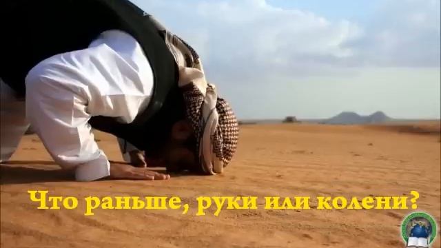 Что раньше, руки или колени? смотреть онлайн
