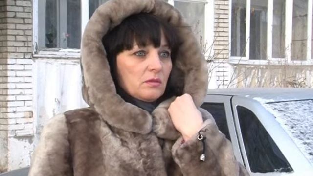 Бродячие собаки. Февраль 2013 год. смотреть онлайн