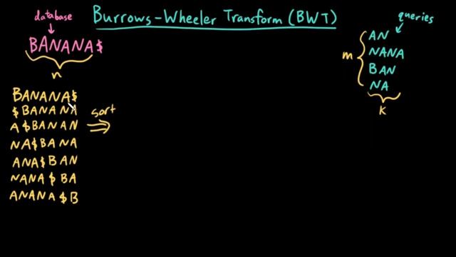 Advanced Data Structures: Burrows Wheeler Transform (BWT) смотреть онлайн