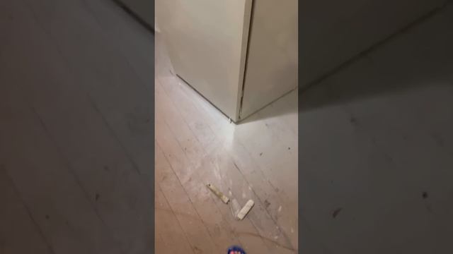 Перекраска холодильника и мой косяк ? )! смотреть онлайн