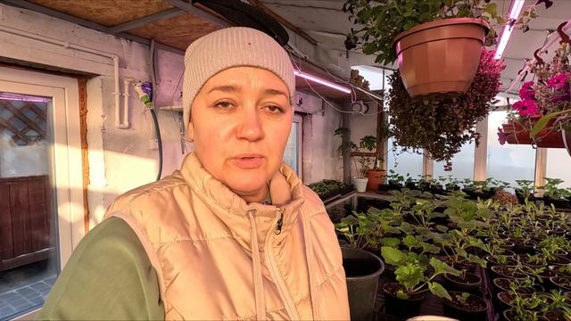 Обзор цветочной теплицы | Декабрь 2023 смотреть онлайн
