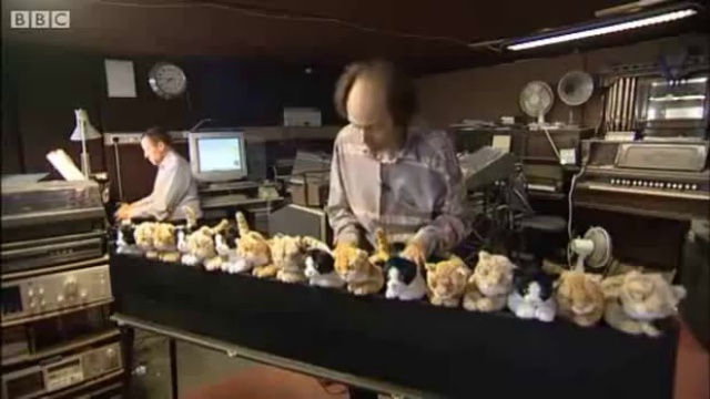 Кошачий концерт смотреть онлайн