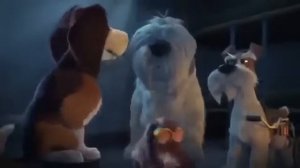 Тайная жизнь домашних животных-2