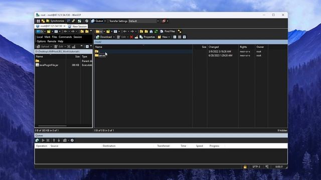Какво е VPS? Как чрез WinSCP да контролираме файловете на VPS услугата ни?