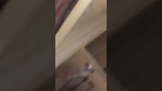 Поезд Москва саратов смотреть онлайн